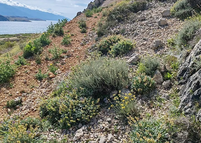 Izzi Mobile - Terra Park Spiritos Дом отдыха *