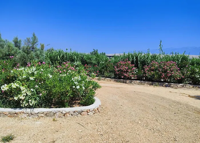 Izzi Mobile - Terra Park Spiritos *