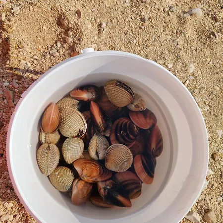 Izzi Mobile - Terra Park Spiritos