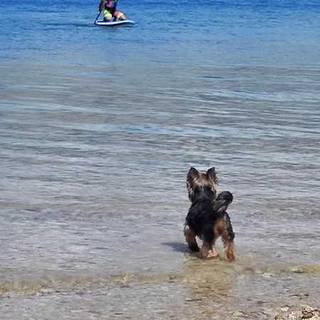 Izzi Mobile - Terra Park Spiritos