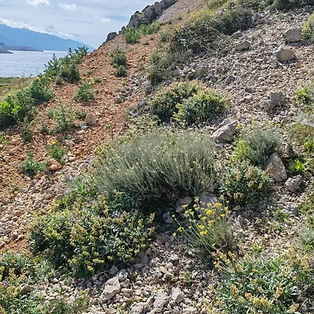 Izzi Mobile - Terra Park Spiritos Feriehus *