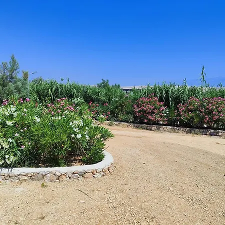 Izzi Mobile - Terra Park Spiritos *