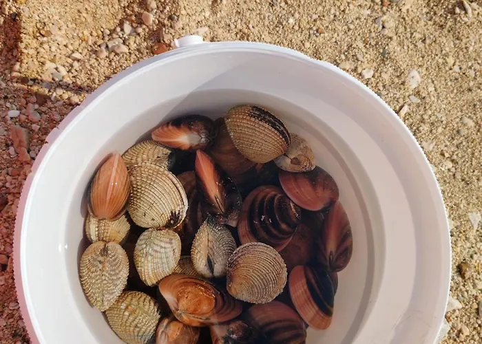 Izzi Mobile - Terra Park Spiritos